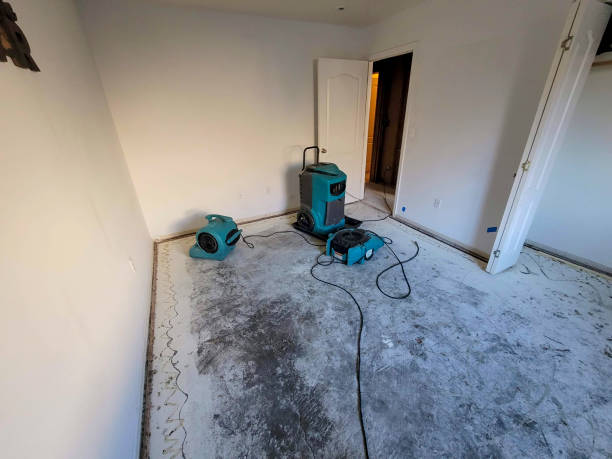 Best 24/7 water damage repair  in Level Park Oak Park, MI
