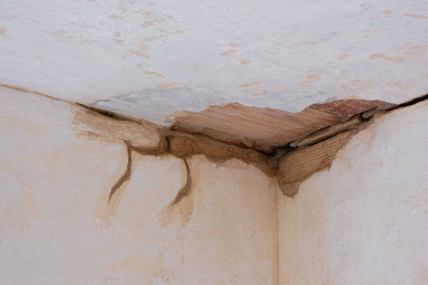 Best Flood restoration services  in Level Park Oak Park, MI