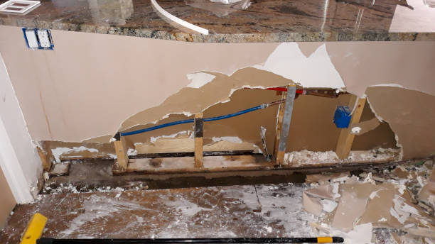 Best Local water damage restoration  in Level Park Oak Park, MI