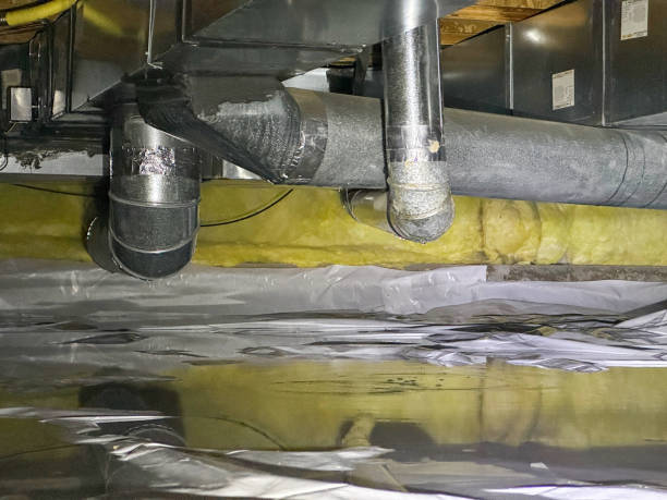 Best Water damage restoration process  in Level Park Oak Park, MI