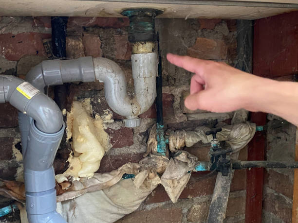 Best Water damage restoration specialists  in Level Park Oak Park, MI